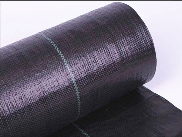 夏芹菜栽培遮阳网法