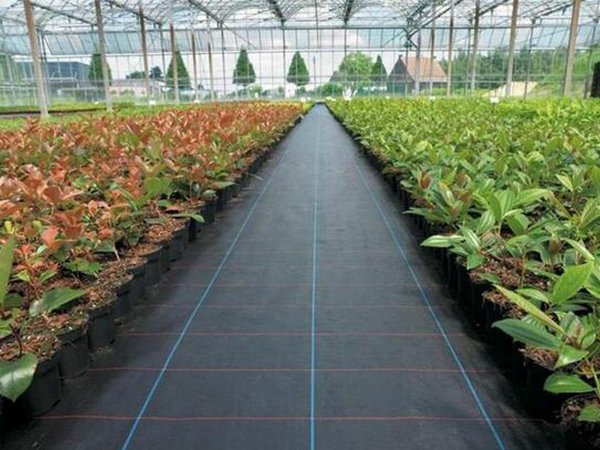 遮阳网覆盖蔬菜栽培的好处